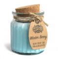 Soy Pot of Fragnance Candle - Winter Berry
